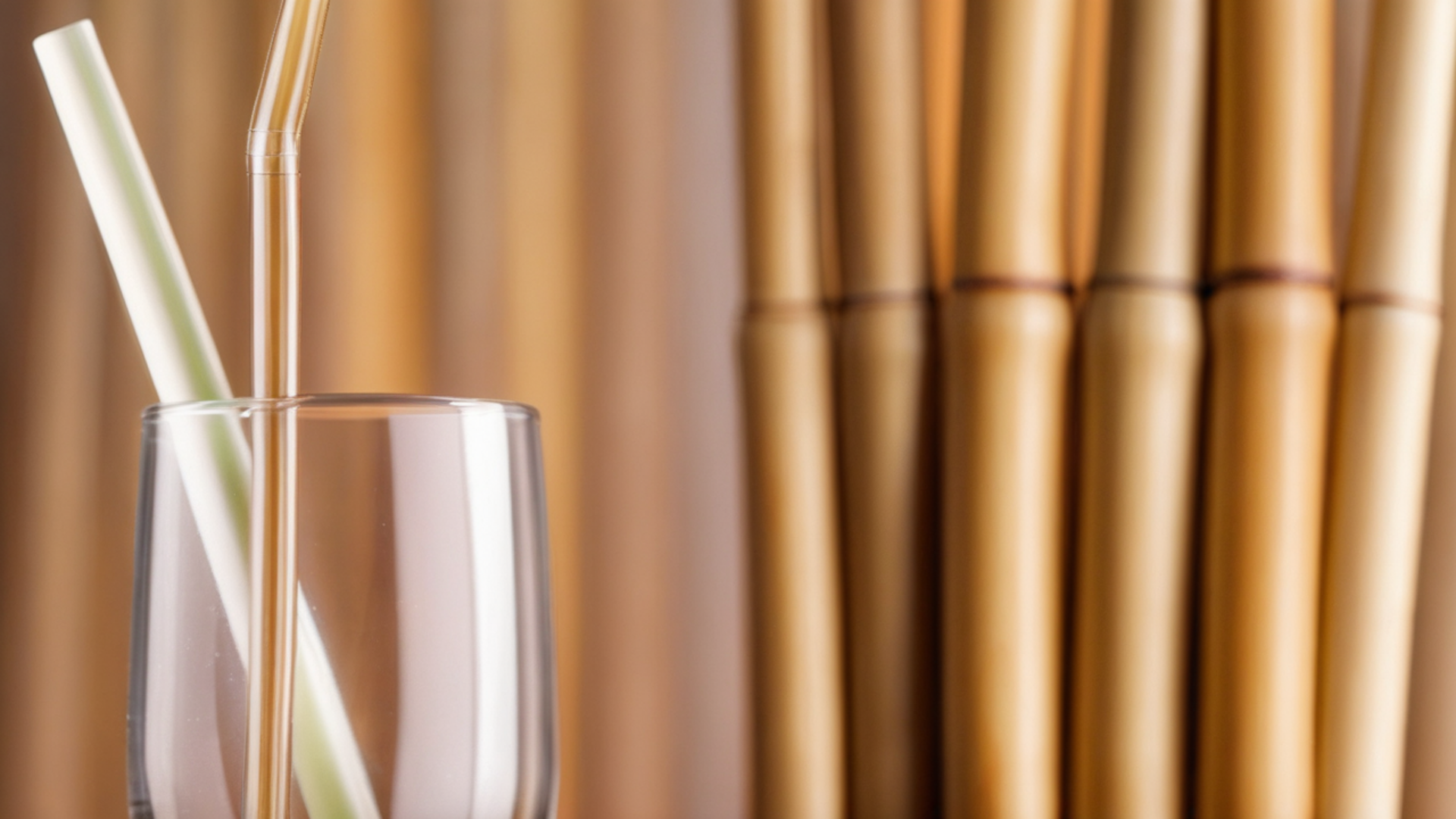 What Are the Best Eco-Friendly Gift Ideas?